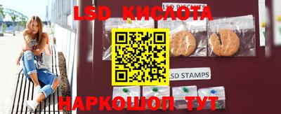 ГАЛЛЮЦИНОГЕННЫЕ ГРИБЫ Сланцы