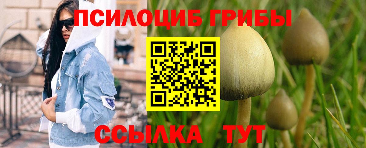 Галлюциногенные грибы мухоморы Новодвинск